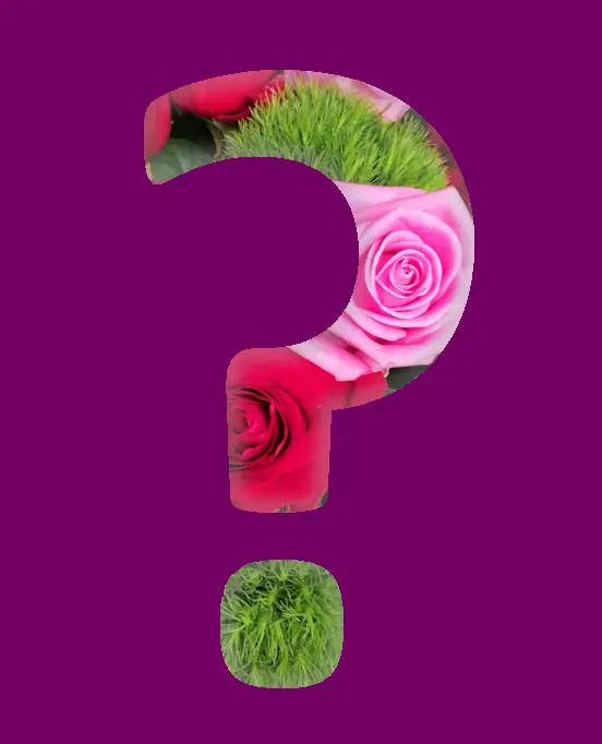 Verrassingsboeketje (rood, Standaard)
